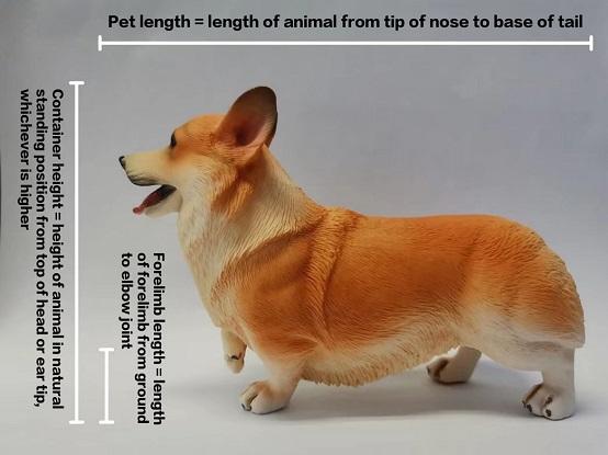 Pets as Checked Baggage